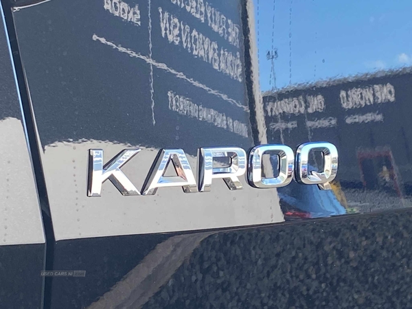 Skoda Karoq 2.0 TDI SE L 5dr DSG in Down