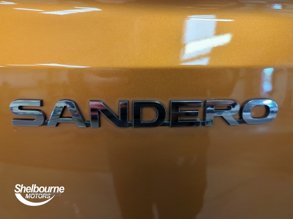 Dacia Sandero Stepway Prestige 1.0 tCe 100 Bi-Fuel 5dr in Armagh
