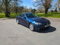 BMW 5 Series 525d [218] SE 4dr in Down