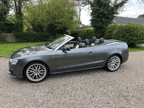Audi A5 CABRIOLET SPECIAL EDITIONS in Antrim