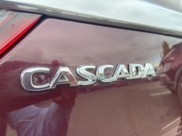 Vauxhall Cascada 2.0 CDTi Elite Euro 5 (s/s) 2dr in Down