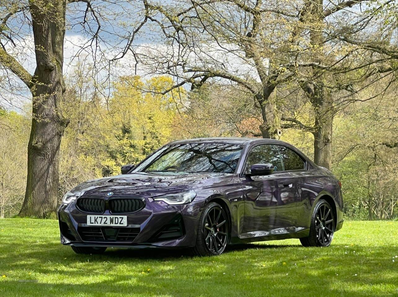 BMW 2 Series DIESEL COUPE in Armagh