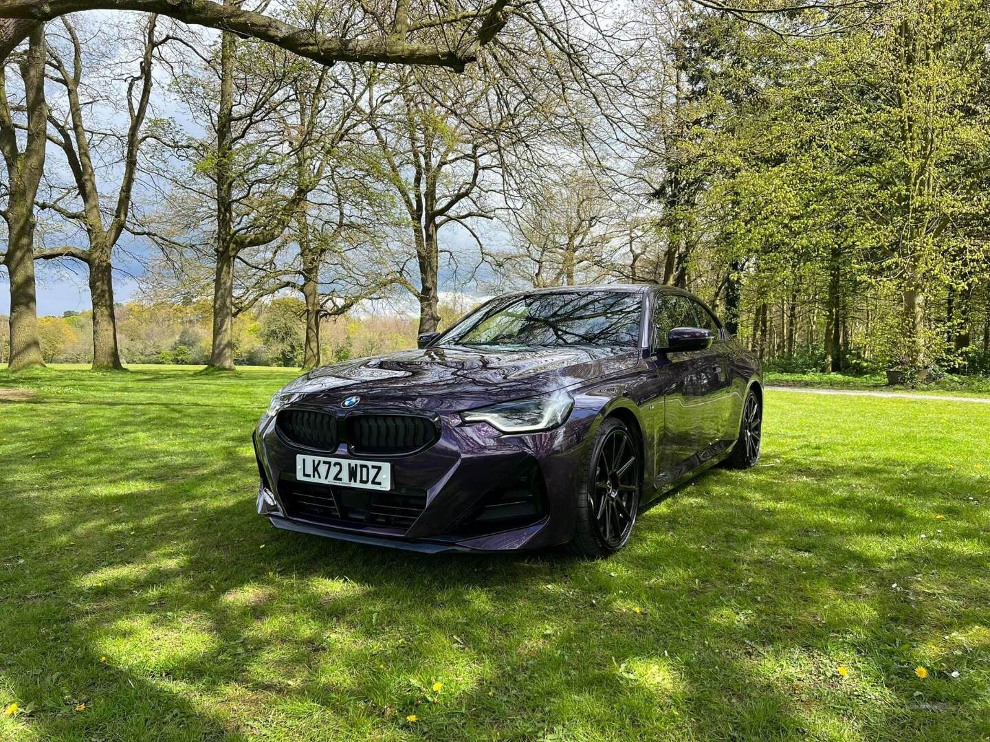 BMW 2 Series DIESEL COUPE in Armagh