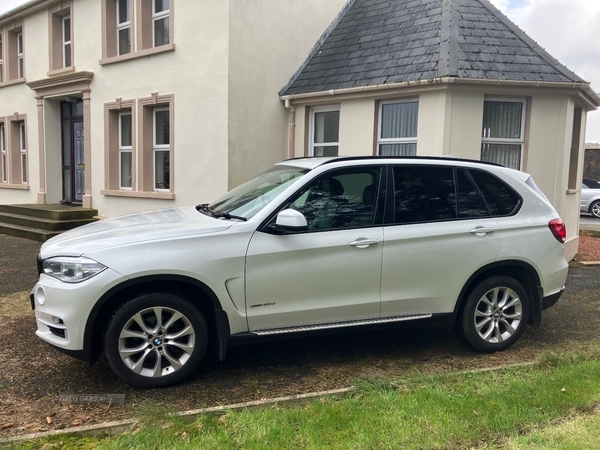 BMW X5 xDrive30d SE 5dr Auto in Derry / Londonderry