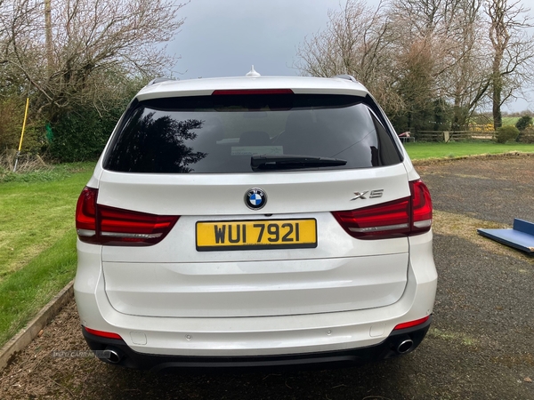 BMW X5 xDrive30d SE 5dr Auto in Derry / Londonderry