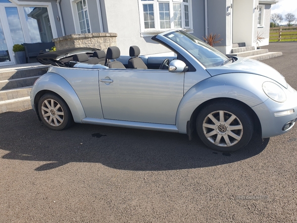Volkswagen Beetle 1.9 TDi 2dr in Derry / Londonderry