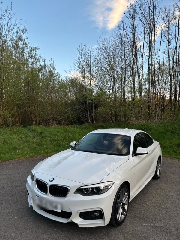 BMW 2 Series 218d M Sport 2dr [Nav] in Fermanagh