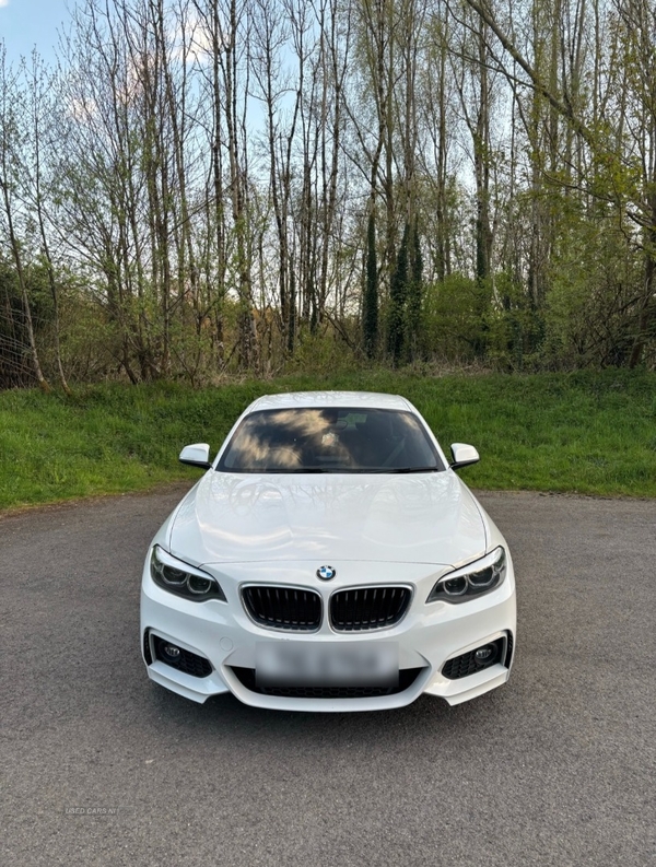 BMW 2 Series 218d M Sport 2dr [Nav] in Fermanagh