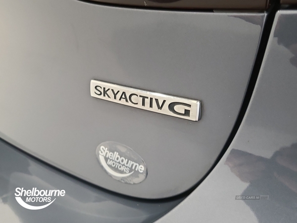 Mazda 3 2.0 SKYACTIV-G MHEV SE-L Lux Hatchback 5dr Petrol Manual Euro 6 (s/s) (122 ps) in Down