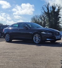 Jaguar XF DIESEL SALOON in Fermanagh