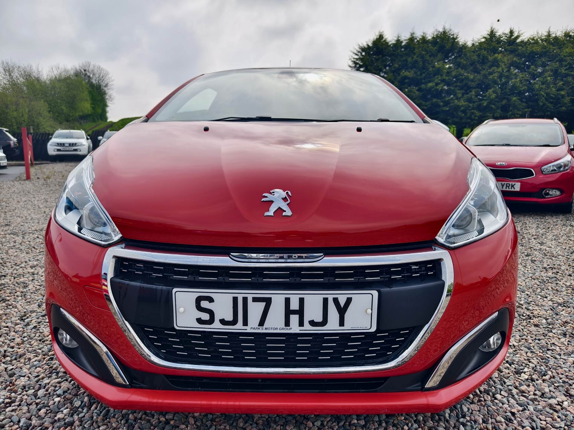 Peugeot 208 HATCHBACK in Fermanagh