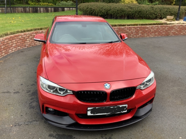 BMW 4 Series 420d M Sport 2dr Auto in Armagh