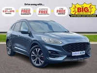 Ford Kuga 2.0 EcoBlue 190 ST-Line X 5dr Auto AWD in Tyrone