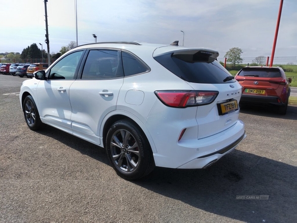 Ford Kuga 1.5 ST-LINE EDITION ECOBLUE 5d 119 BHP in Tyrone