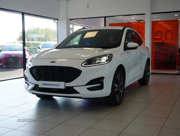 Ford Kuga ST-LINE in Tyrone