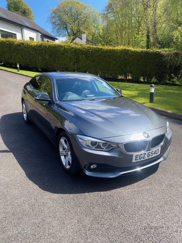 BMW 4 Series 420d [190] xDrive SE 5dr Auto [Business Media] in Antrim
