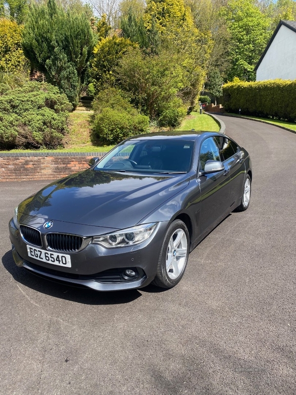 BMW 4 Series 420d [190] xDrive SE 5dr Auto [Business Media] in Antrim