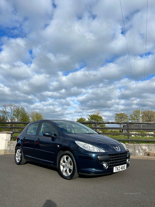 Peugeot 307 1.6 HDi 90 S 5dr in Tyrone
