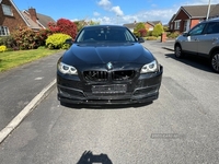 BMW 5 Series 518d [150] SE 4dr in Down