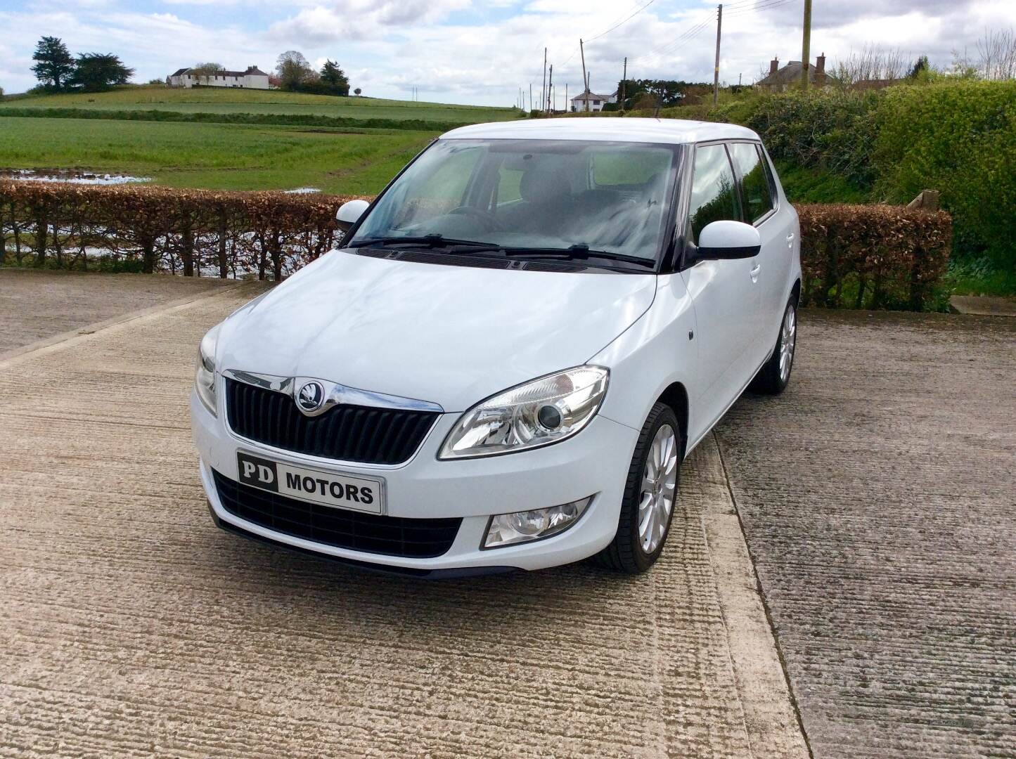 Skoda Fabia DIESEL HATCHBACK in Down