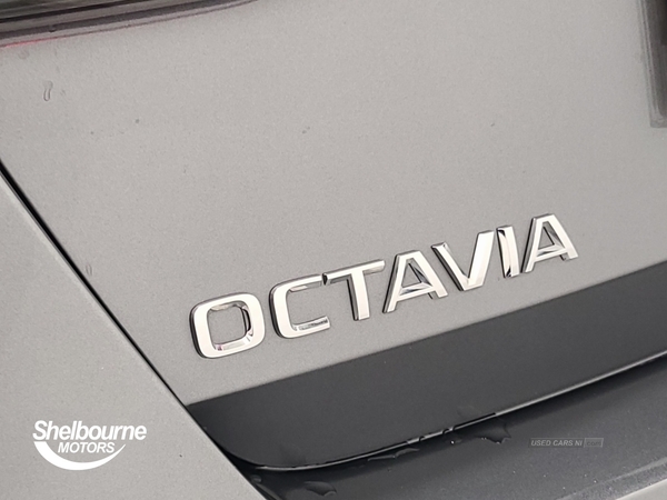 Skoda Octavia 2.0 TDI SE L Hatchback 5dr Diesel DSG Euro 6 (s/s) (150 ps) in Down