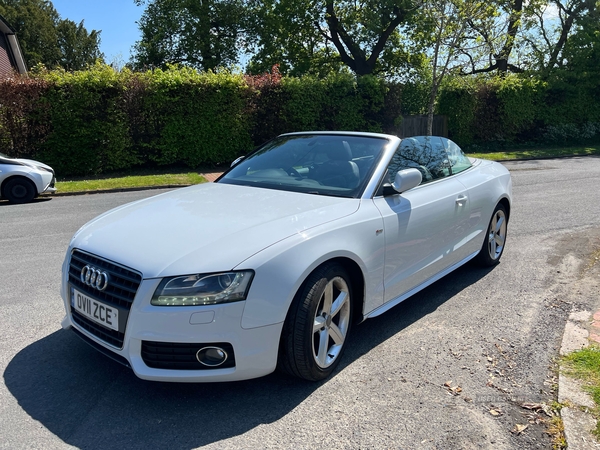 Audi A5 2.0 TDI S Line 2dr [Start Stop] in Armagh
