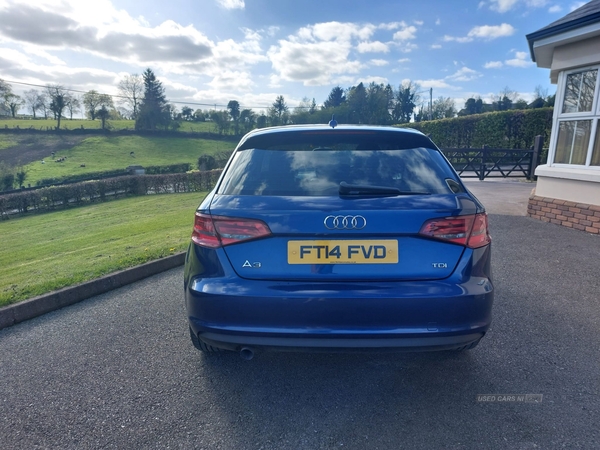 Audi A3 1.6 TDI SE 5dr in Fermanagh