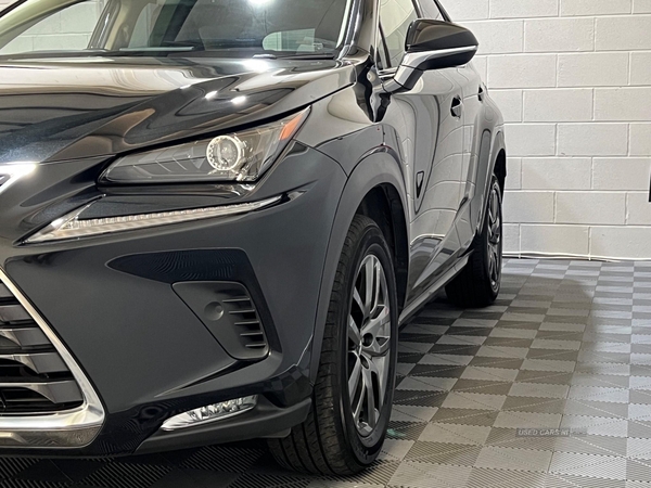 Lexus NX 2.5 300h E-CVT 4WD Euro 6 (s/s) 5dr in Derry / Londonderry