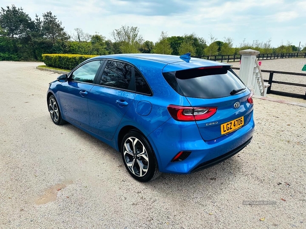 Kia Ceed HATCHBACK SPECIAL EDITIONS in Down