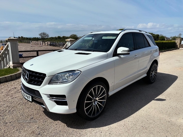 Mercedes M-Class DIESEL STATION WAGON in Down