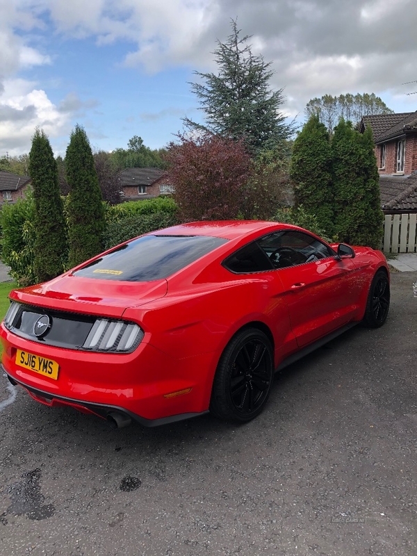 Ford Mustang 2.3 EcoBoost 2dr in Armagh