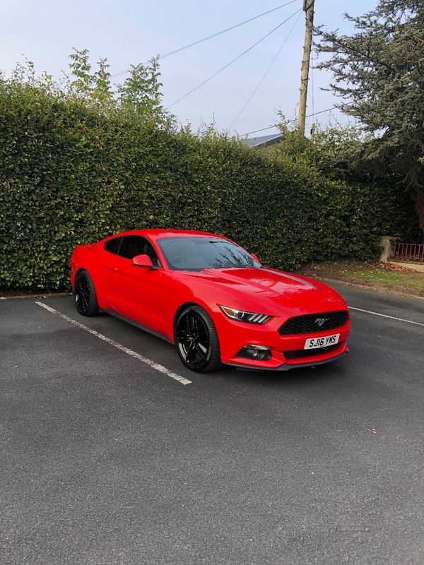 Ford Mustang 2.3 EcoBoost 2dr in Armagh
