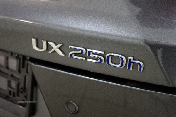 Lexus UX HATCHBACK in Derry / Londonderry