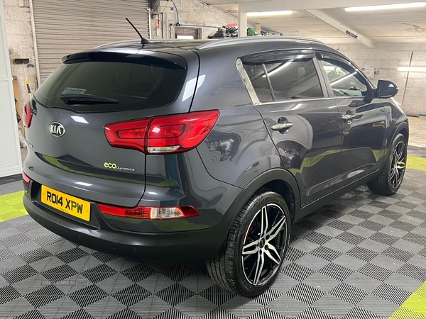 Kia Sportage ESTATE in Antrim