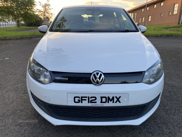Volkswagen Polo BlueMotion TDI in Derry / Londonderry