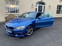 BMW 4 Series 420d M Sport 2dr in Down