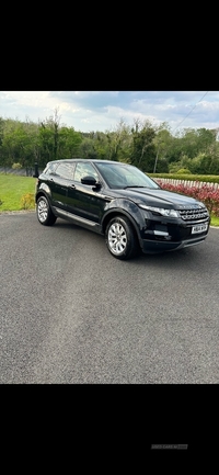 Land Rover Range Rover Evoque 2.2 SD4 Pure 5dr Auto [9] [Tech Pack] in Fermanagh