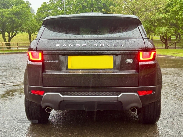 Land Rover Range Rover Evoque DIESEL HATCHBACK in Antrim