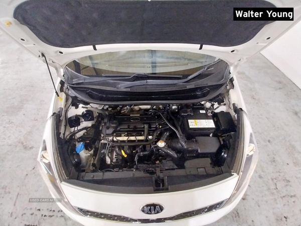 Kia Rio 1.25 VR7 Hatchback 3dr Petrol Manual Euro 5 (84 bhp) in Antrim