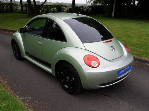 Volkswagen Beetle HATCHBACK in Derry / Londonderry