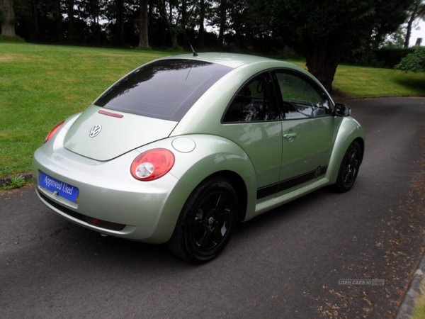 Volkswagen Beetle HATCHBACK in Derry / Londonderry