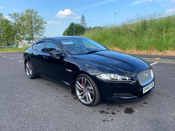 Jaguar XF DIESEL SALOON in Armagh