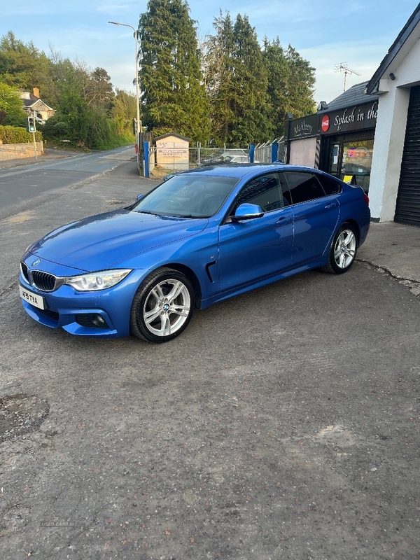BMW 4 Series 420d xDrive M Sport 5dr Auto in Tyrone