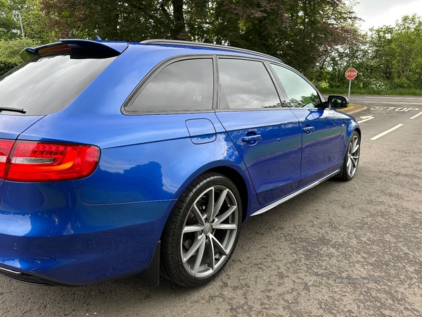 Audi A4 AVANT SPECIAL EDITIONS in Antrim