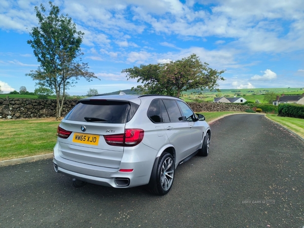 BMW X5 DIESEL ESTATE in Antrim