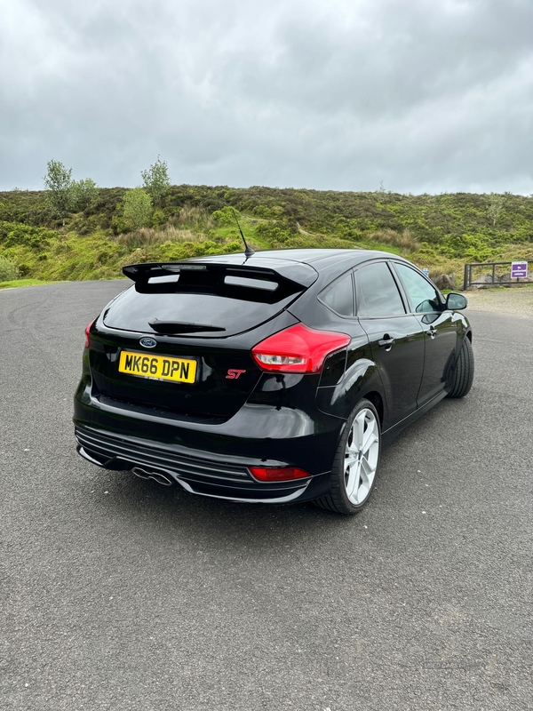 Ford Focus 2.0 TDCi 185 ST-2 5dr in Tyrone
