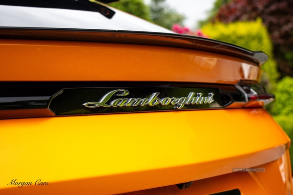 Lamborghini Urus ESTATE in Down