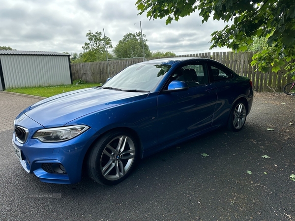 BMW 2 Series 218d [150] M Sport 2dr in Derry / Londonderry