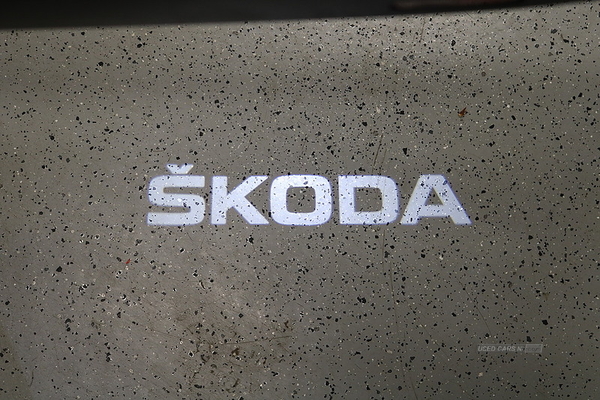 Skoda Octavia 2.0 TDI 200 VRS 5dr DSG in Down