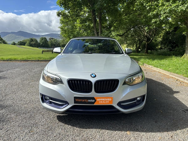 BMW 2 Series DIESEL CONVERTIBLE in Down